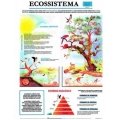 Mapa Ecossistema